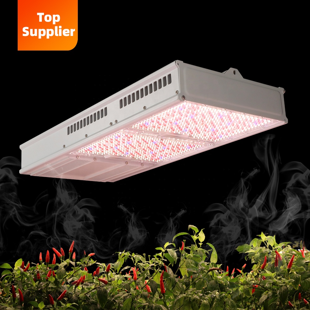 Cost-Effective 600W 800W Topli - Indoor Plants recension och pris