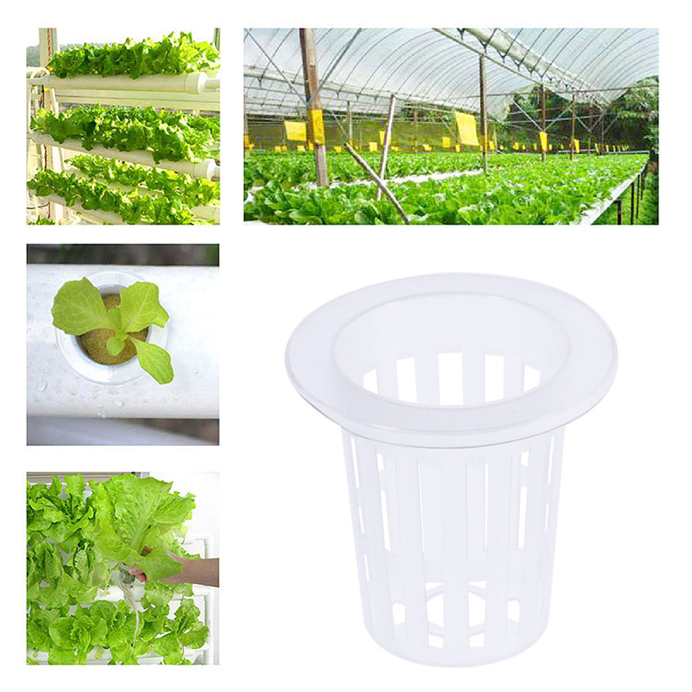 10pcs Hydroponic Vegetable Net - Plant Pot recension och pris