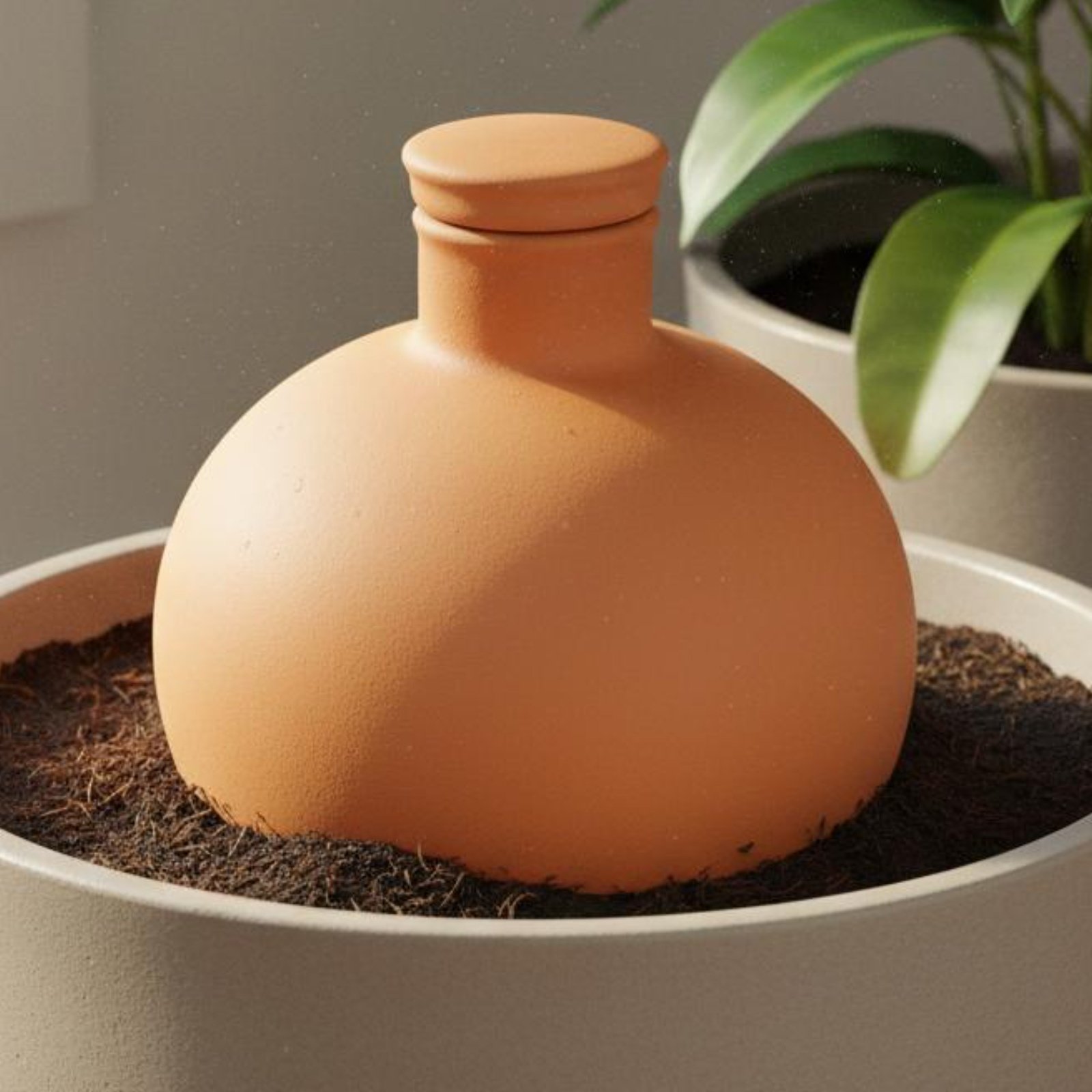 2 Pieces Terracotta Olla Easy  - Terracotta Pot recension och pris