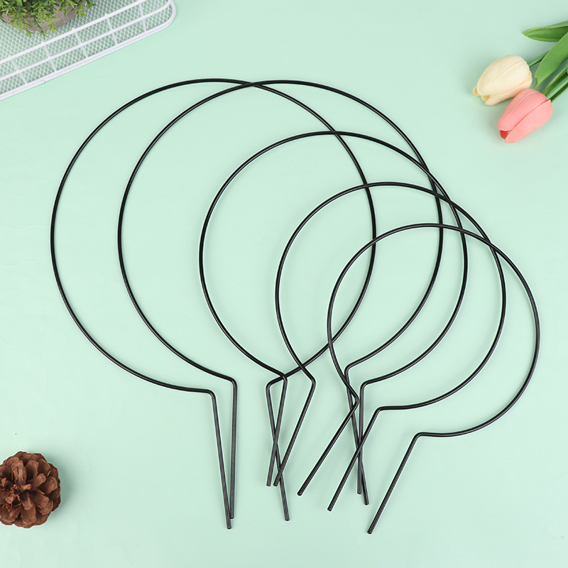 2Pcs Iron Heart-Shaped Garden  - Plant Support Stake recension och pris