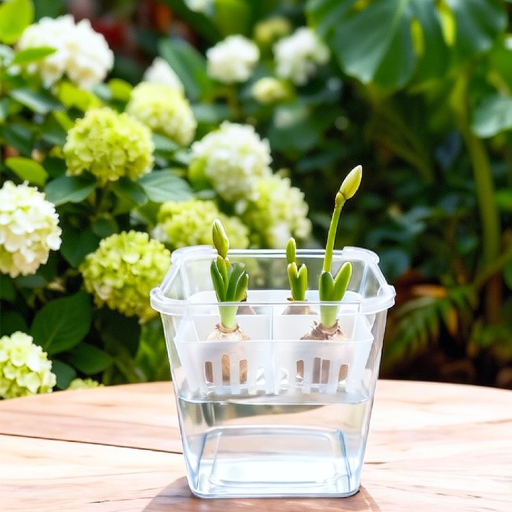 Hydroponic Vase For Tulip Lily - Indoor Plants recension och pris