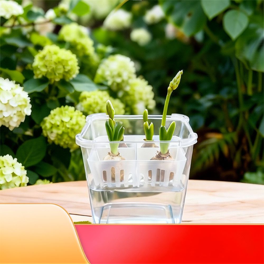 Hydroponic Vase For Tulip Lily - Indoor Plants recension och pris