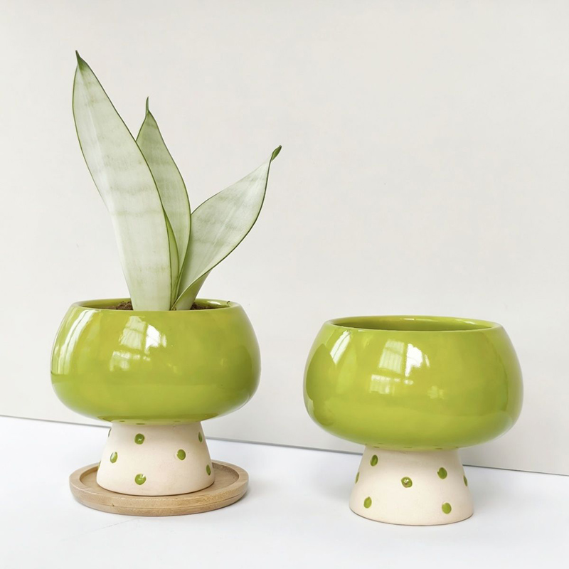Stylish Minimalist Ceramic Flo - Snake Plant Ceramic recension och pris
