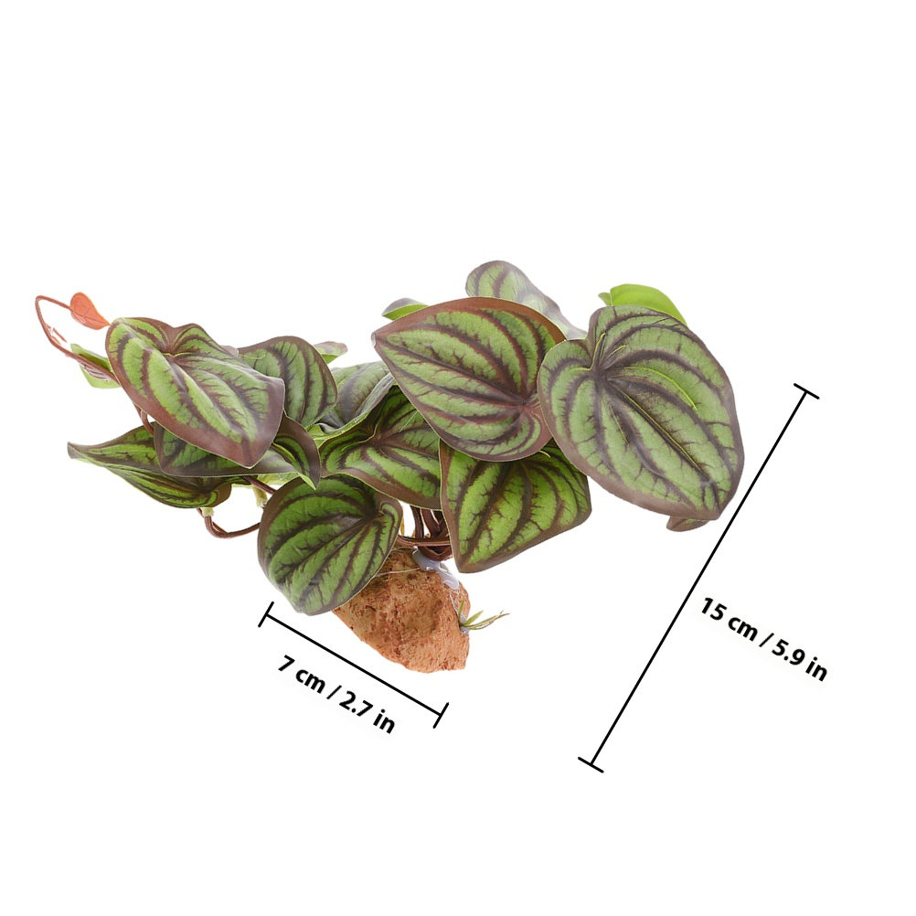 High Quality Simulation Terrar - Snake Plant recension och pris
