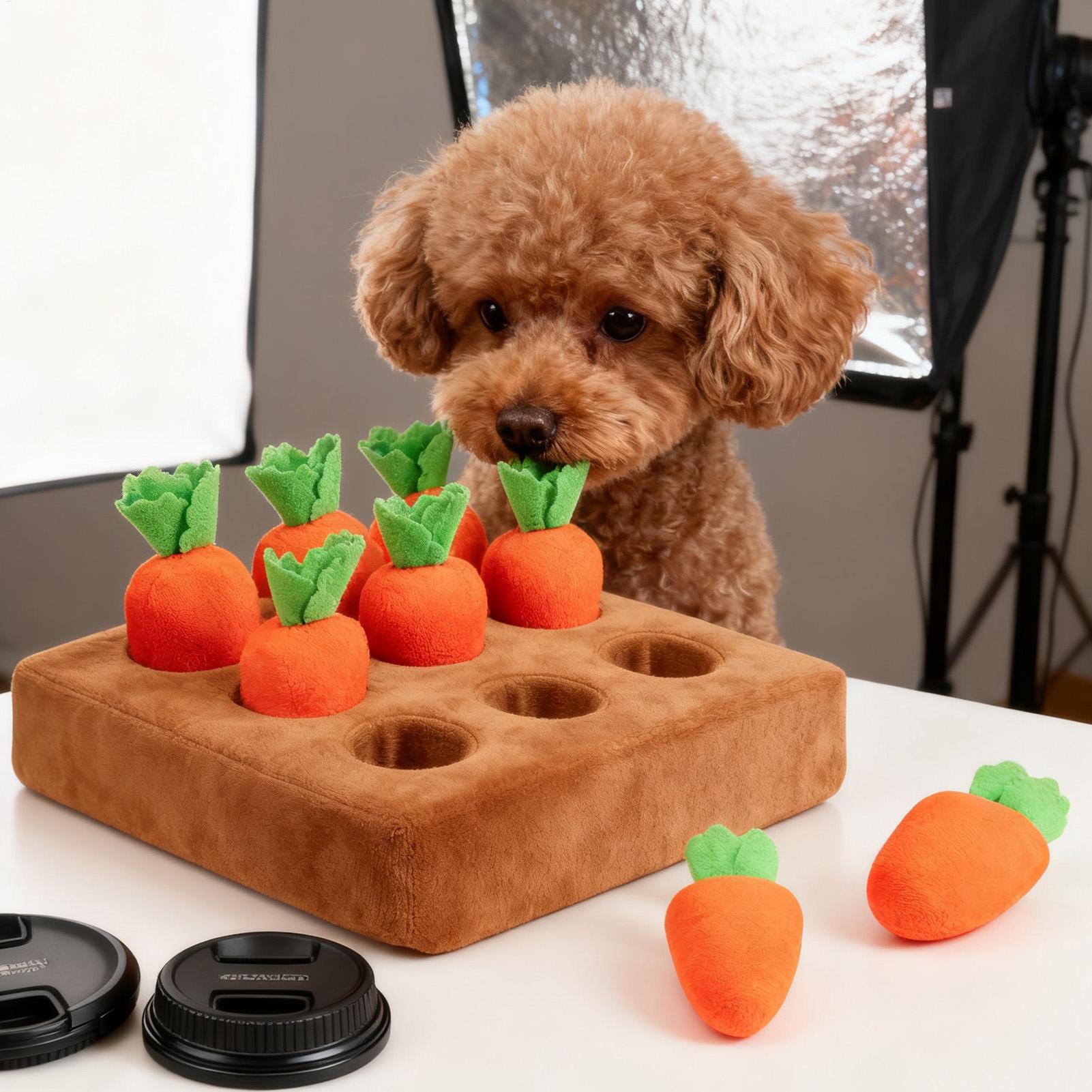 Pet Carrot Interactive Toys Do - Repotting Mat recension och pris