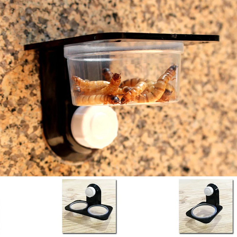 Reptile Tank Accessories Insec - Snake Plant recension och pris