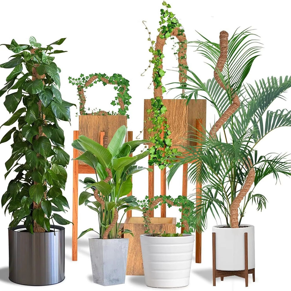 Horticultural Coconut Palm Sti - Pothos recension och pris