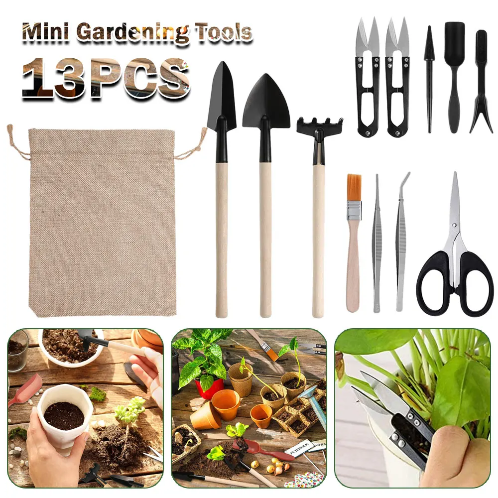 13PCS Succulent Plants Tool Se - Succulent Set recension och pris