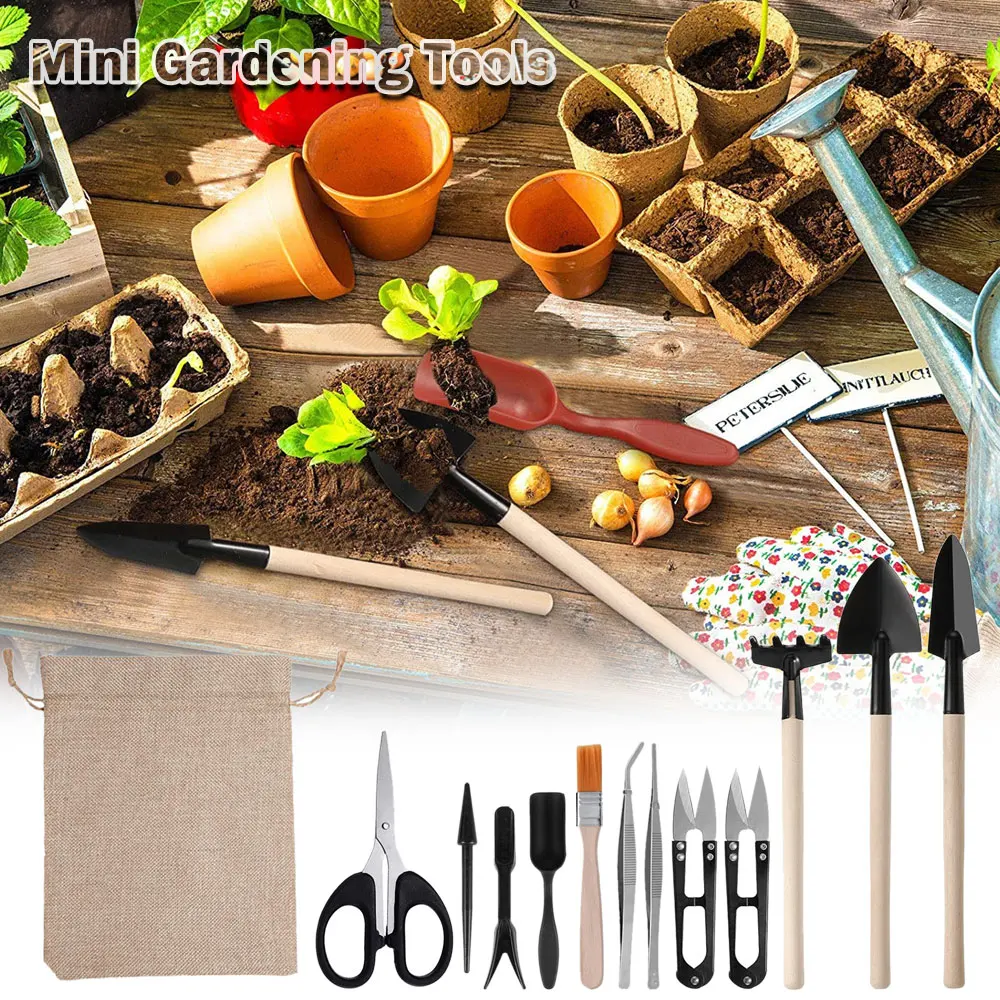13PCS Succulent Plants Tool Se - Succulent Set recension och pris