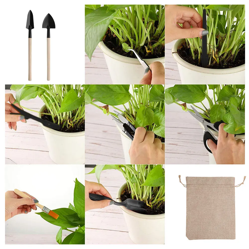 13PCS Succulent Plants Tool Se - Succulent Set recension och pris