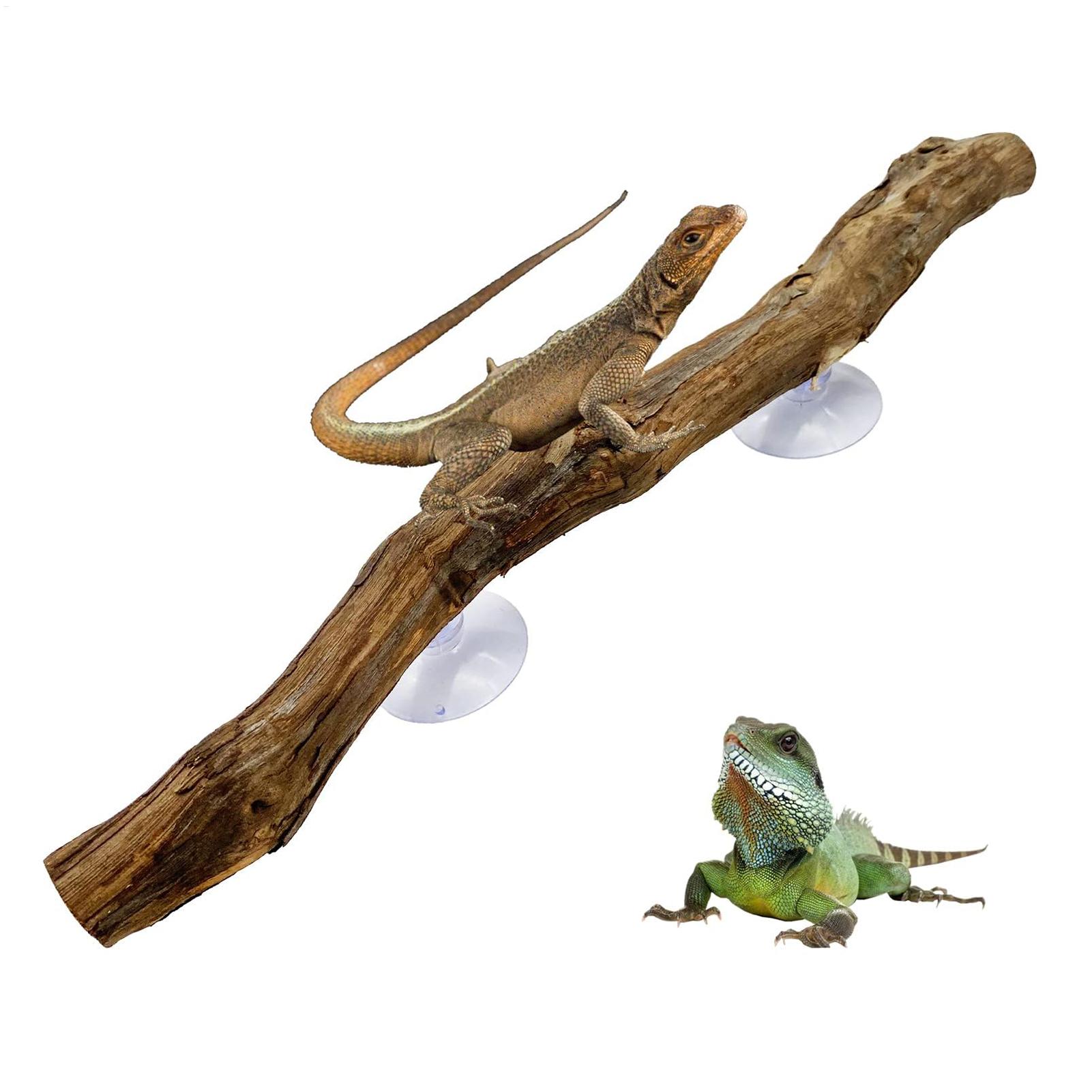 Reptile Climbing Corner Stick  - Snake Plant recension och pris