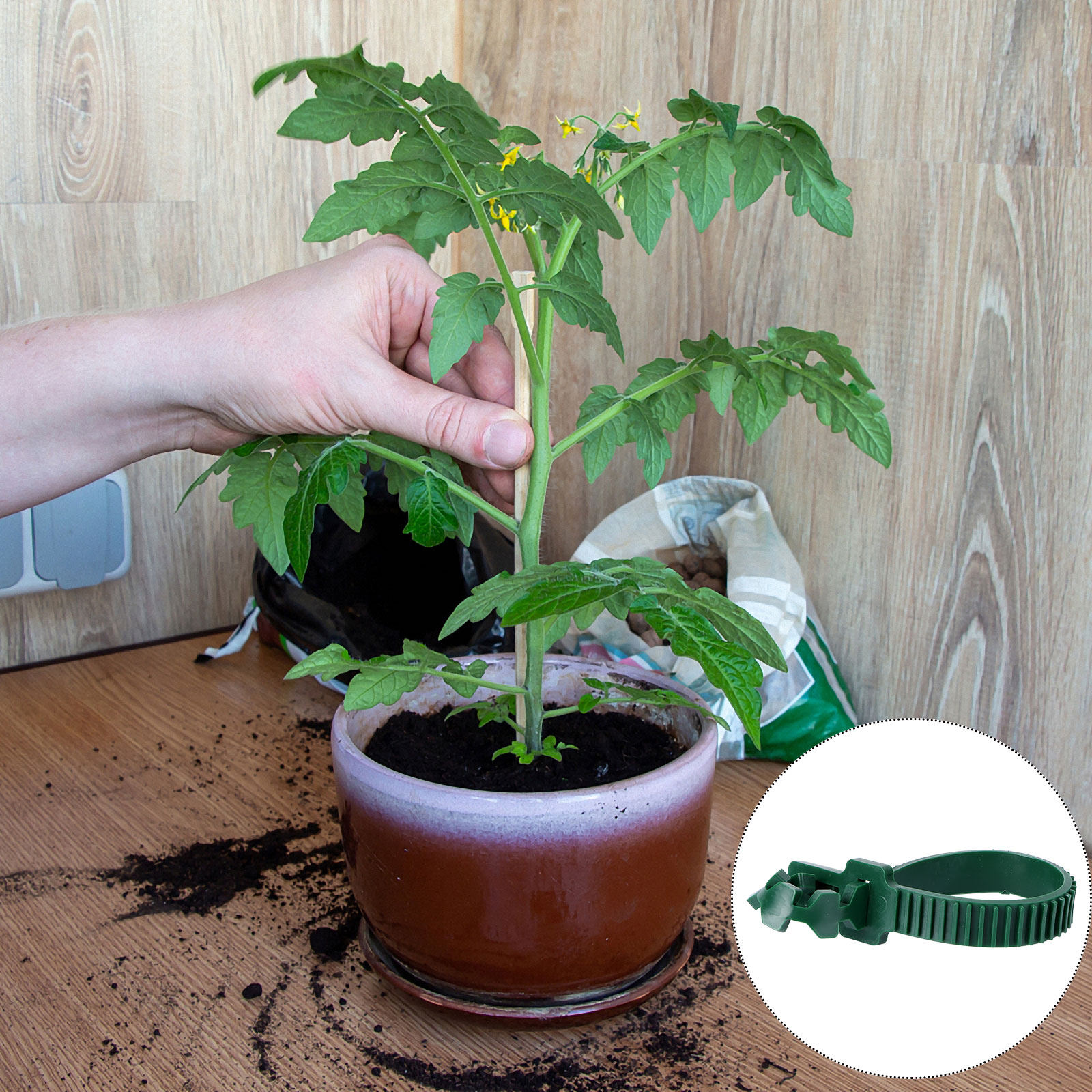 20Pcs Vine Fixing Buckle Garde - Plant Support Stake recension och pris
