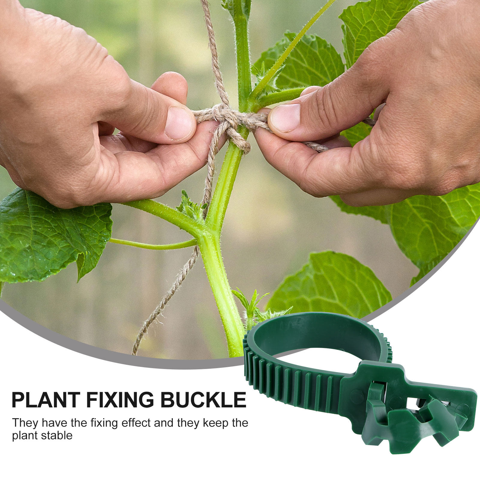 20Pcs Vine Fixing Buckle Garde - Plant Support Stake recension och pris