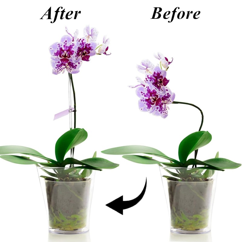 Reusable Clear Flower Support  - Terracotta Pot recension och pris