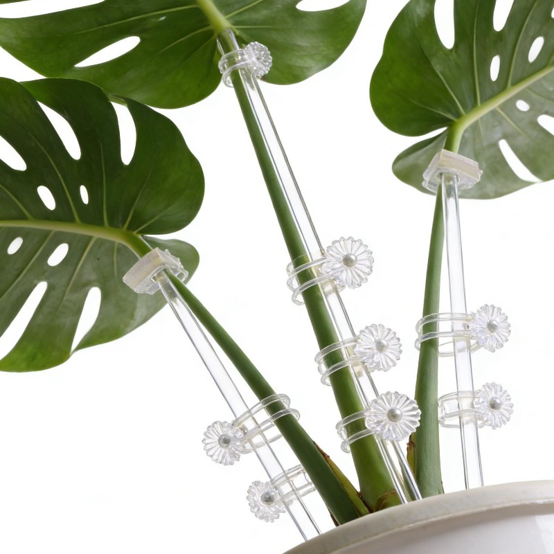 Reusable Clear Flower Support  - Terracotta Pot recension och pris