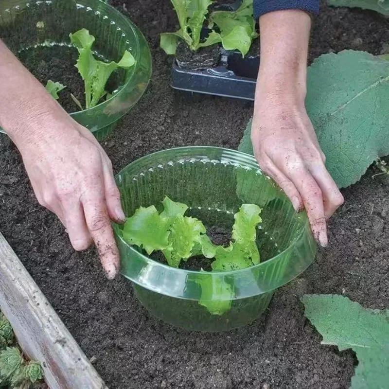 Plants Slug Protection Rings V - Terracotta Pot recension och pris