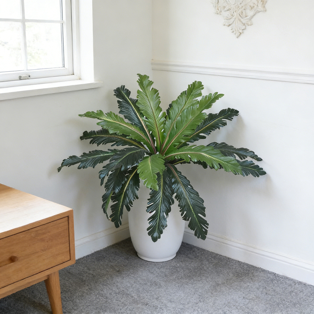 45-50cm Tropical Fake Persian  - Snake Plant recension och pris