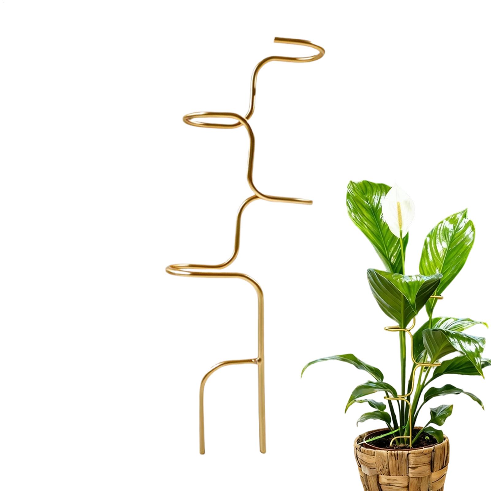 Garden Plant stem fixing suppo - Plant Support Stake recension och pris