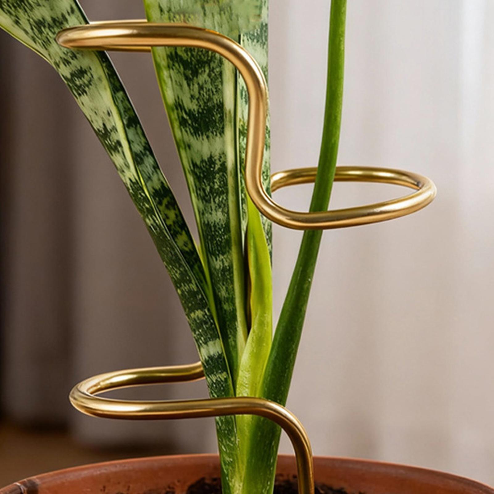 Garden Plant stem fixing suppo - Plant Support Stake recension och pris