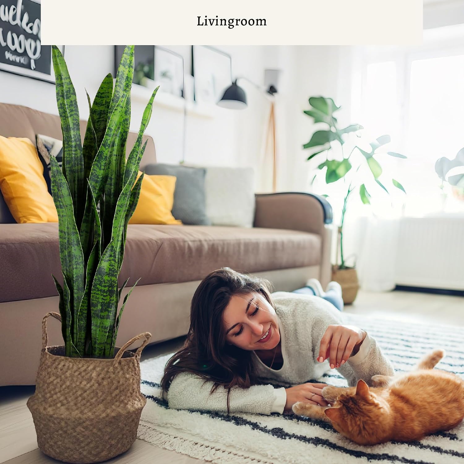Artificial Snake Plant, 35in G - Snake Plant recension och pris