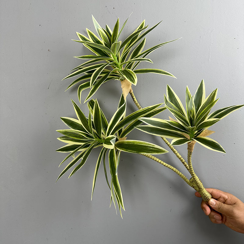 Simulated Green Plants 3 Heads - Snake Plant recension och pris