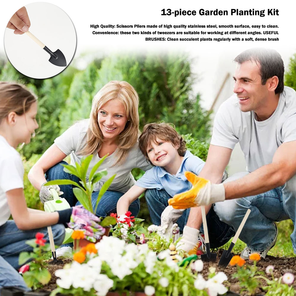 Succulent Plants Tools Mini Ga - Succulent Set recension och pris