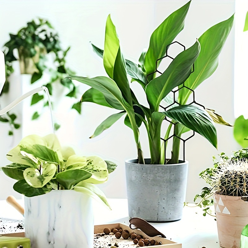 1PC Honeycomb Design Plant Tre - Terracotta Pot recension och pris